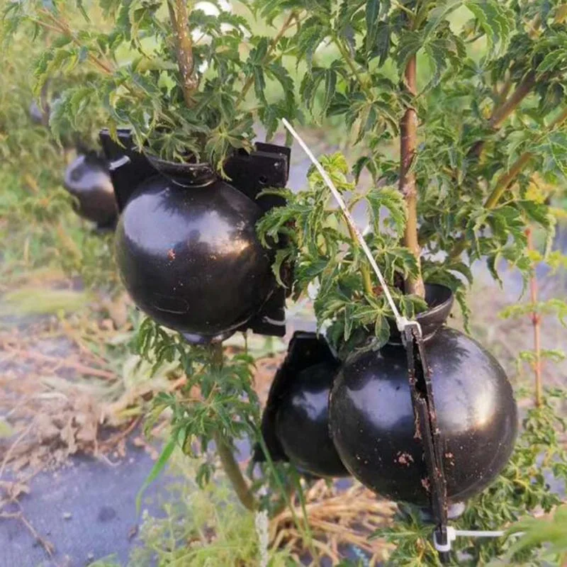 Caja de bolas de enraizamiento de plantas de 5cm y 8cm, caja de raíces de árboles frutales, cajas para macetas, injerto, enraizamiento, cría