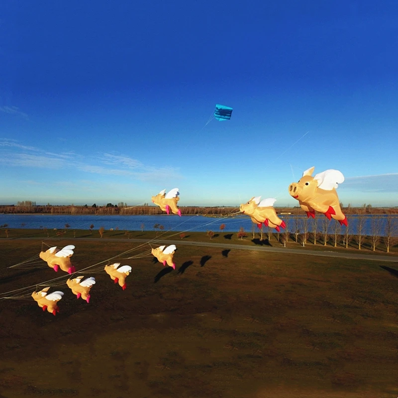 طائرات ورقية قابلة للنفخ تظهر طائرة ورقية عملاقة قلادة طائرات ورقية على شكل خنزير ألعاب طائرة ورقية كبيرة طائرة ورقية احترافية غزل مع حبل طائر طائر