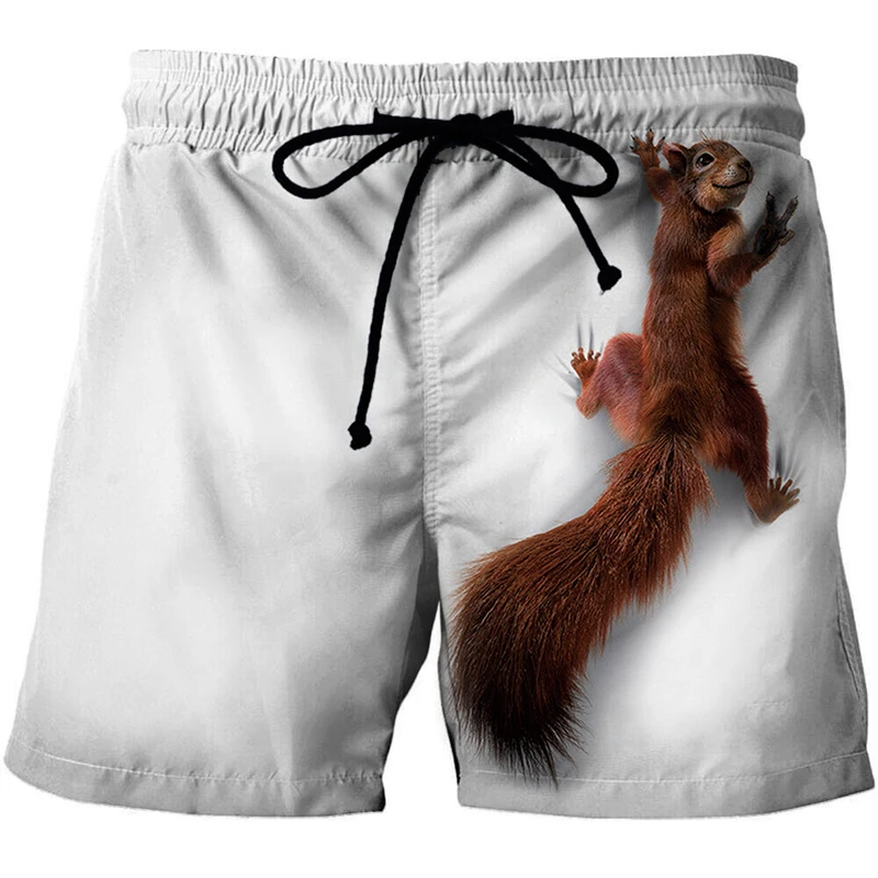 Animal Graphic Beach Shorts Men 3D Pattern Squirrel Beach Shorts Men Women Quick Dry Short Pants Cute Pet Bottoms Lovely Pants