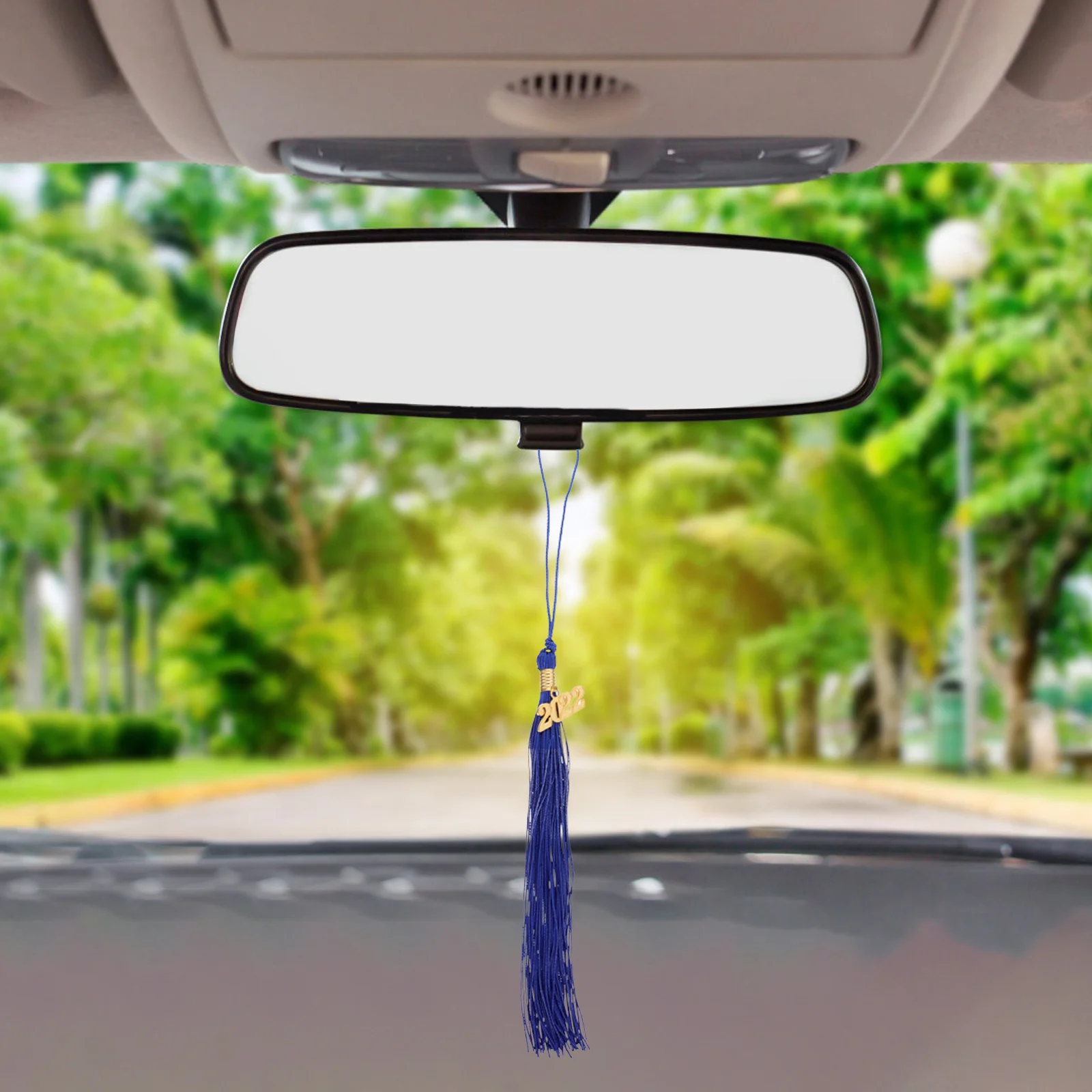 

8Pcs Graduation Hat Tassels Fine Workmanship Beautiful Appearance for Ceremonies Bachelor Hat Tassel Tassel Graduation Decor