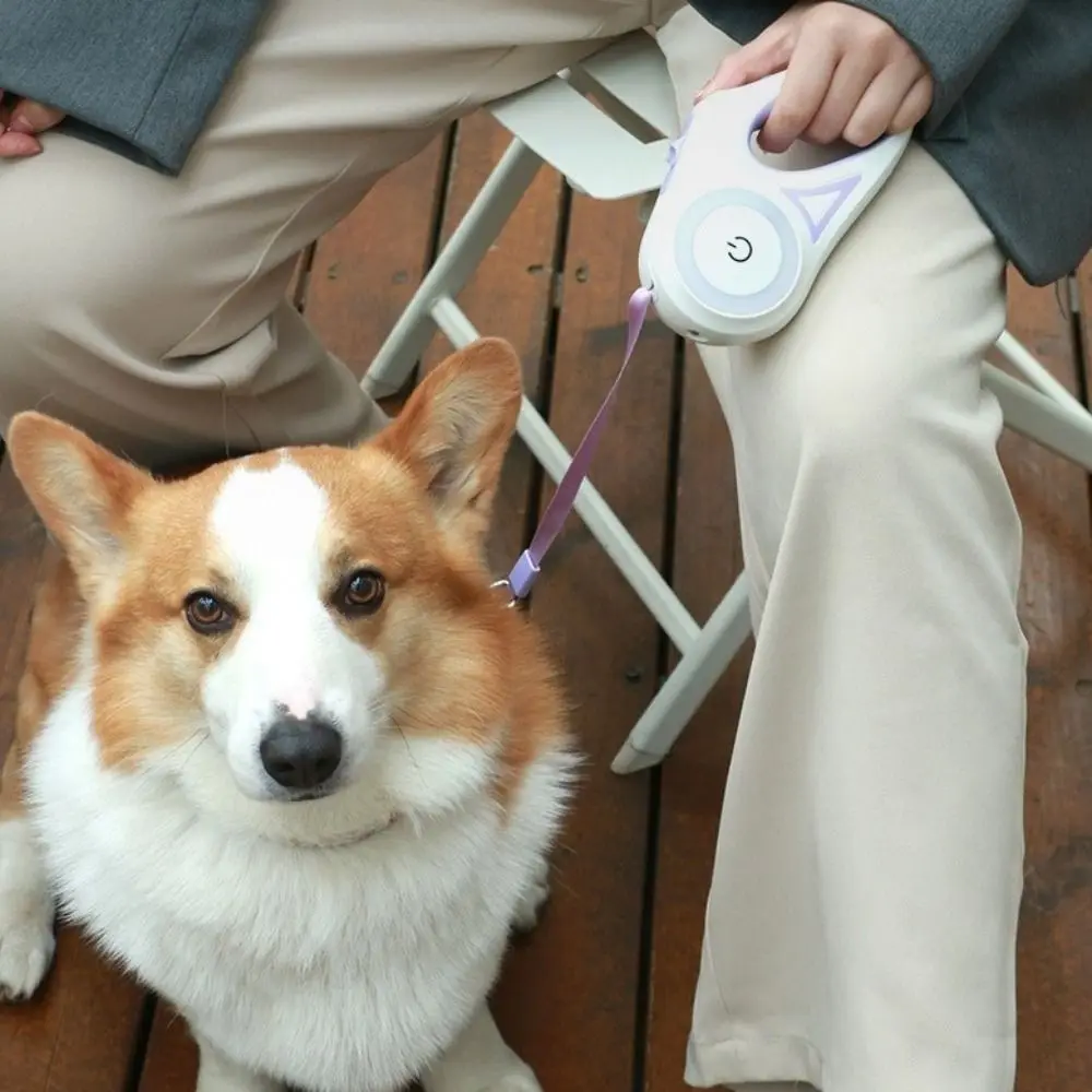 

Nylon Retractable Dog Leash Non-Slip Handle 3 Meters LED Luminous Dog Leash Comfortable Grip Anti-Escape Pet Walking Leads