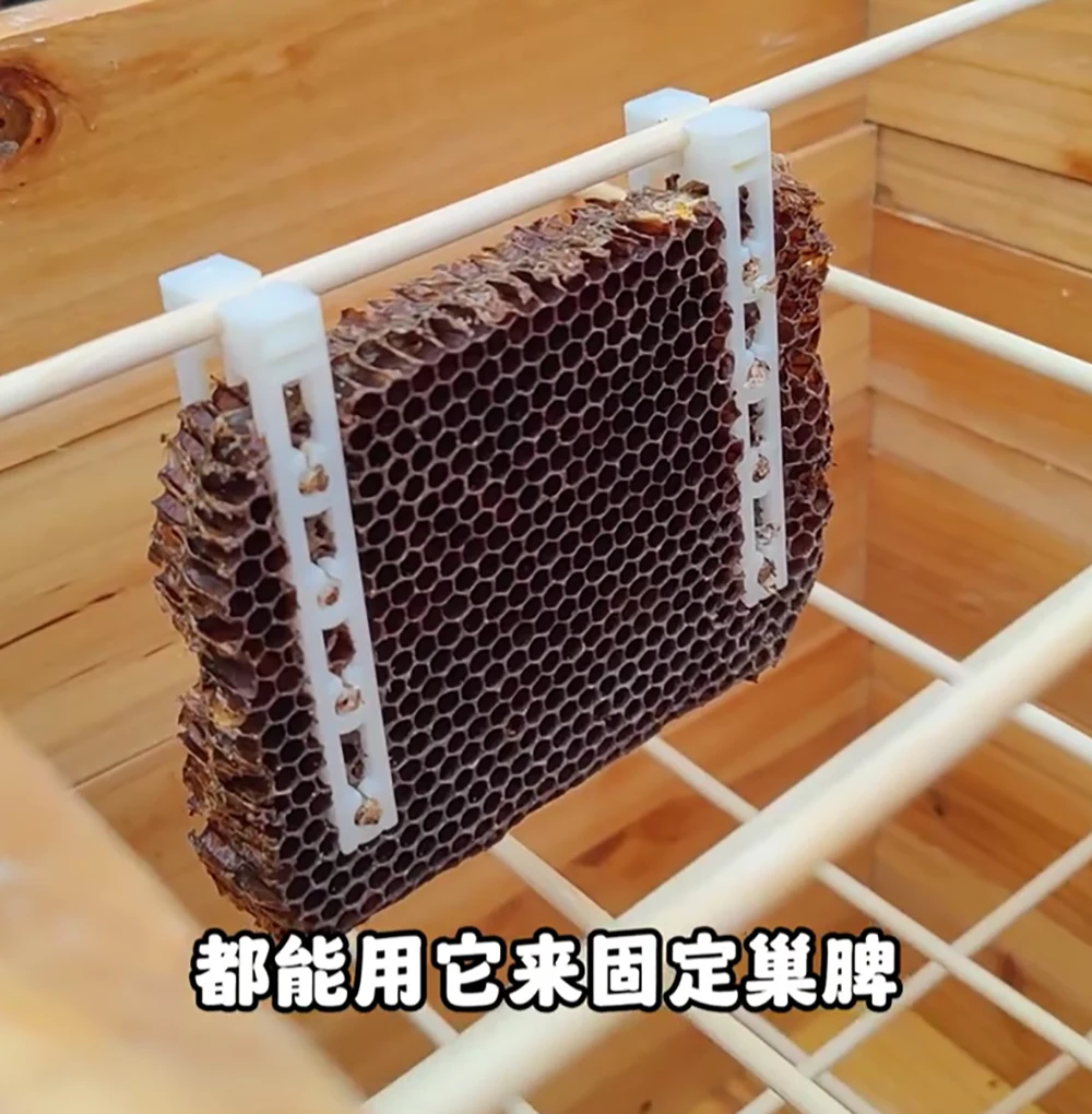 100PCS Comb Binding Transfer Holder Clips Plastic Hive Fixations with Binding Straps to Prevent Swarming Beekeeping Tools