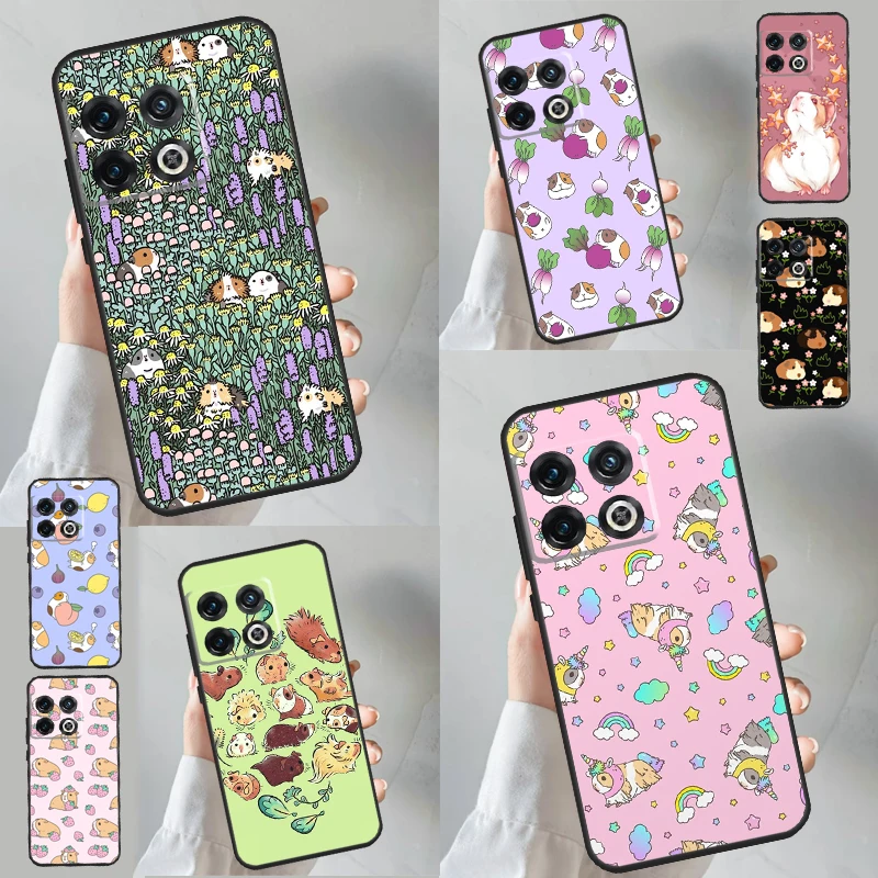 Guinea Pig Case For…