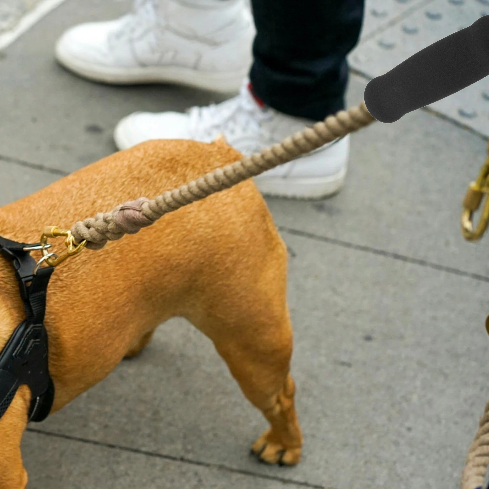 

6Pcs Sponge Leash Grips for Dogs and Cats Ergonomic Handle Covers Non-Slip Walking Comfort Long-Lasting Pet Leash Accessories