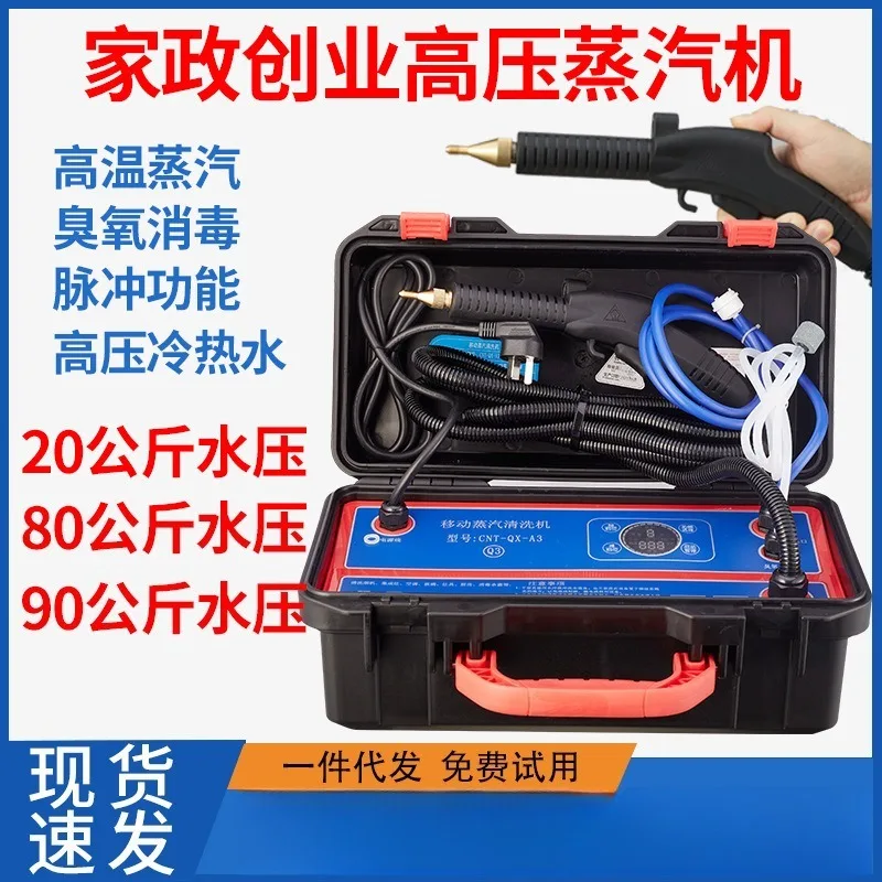 High Pressure High Temperature Steam Cleaner Multifunction All In One Cleaning Machine for Home Service Commercial Use Air