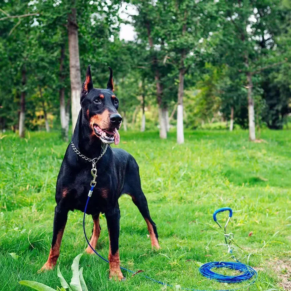 . Pet P Schlangenkette Hundehalsband aus Edelstahl, Verstellbares Würgehalsband für Training, Geeignet für Bulldoggen und Mittelgroße bis Große Hunde – Detail 2
