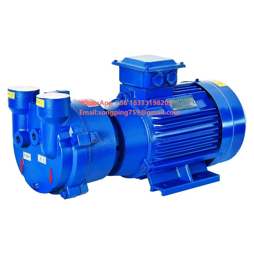 

High Quality OEM Customizable 2BV2060 Horizontal Liquid Ring Vacuum Pump Energy-Saving Automotive Industry High Pressure