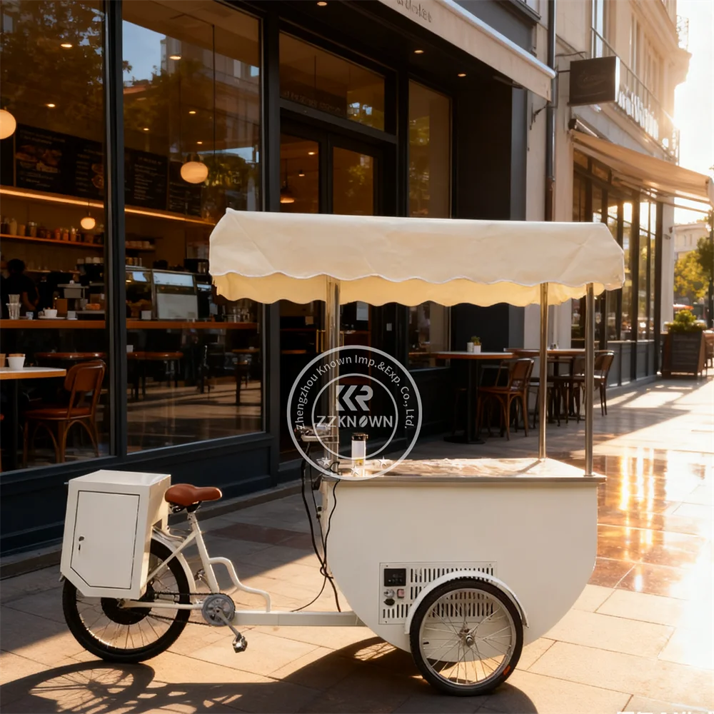 Food Trucks High Quality Electric Push Cart Freezer Display Ice Cream Cart for Food Retail Hotels Bakeries Ice Cream Shops