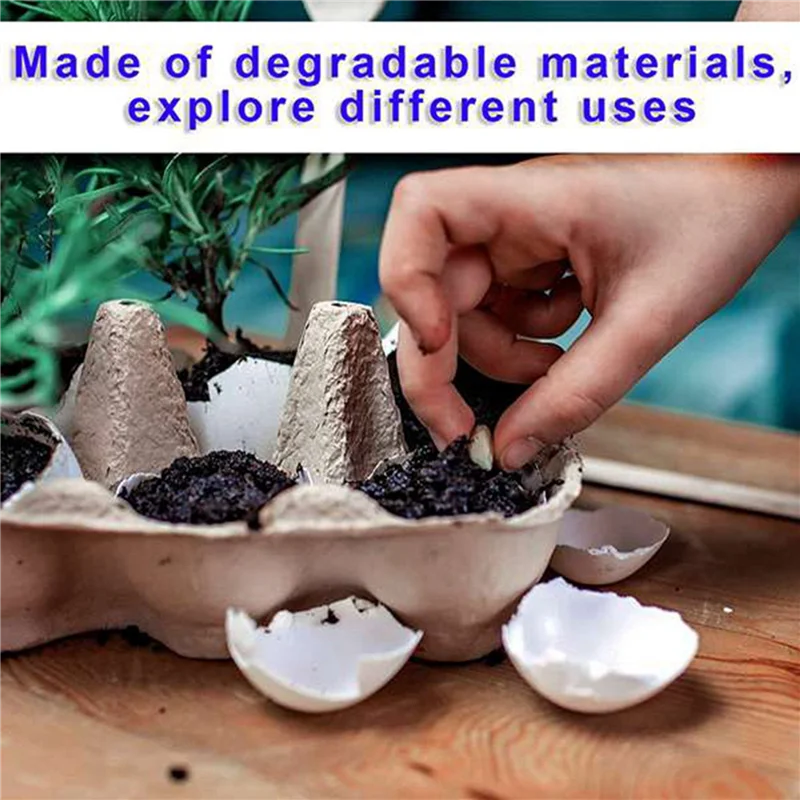 

80 Pieces Paper Egg Cartons For Chicken Eggs Pulp Fiber Holder Bulk Holds 6 Count Eggs Farm Market Travel