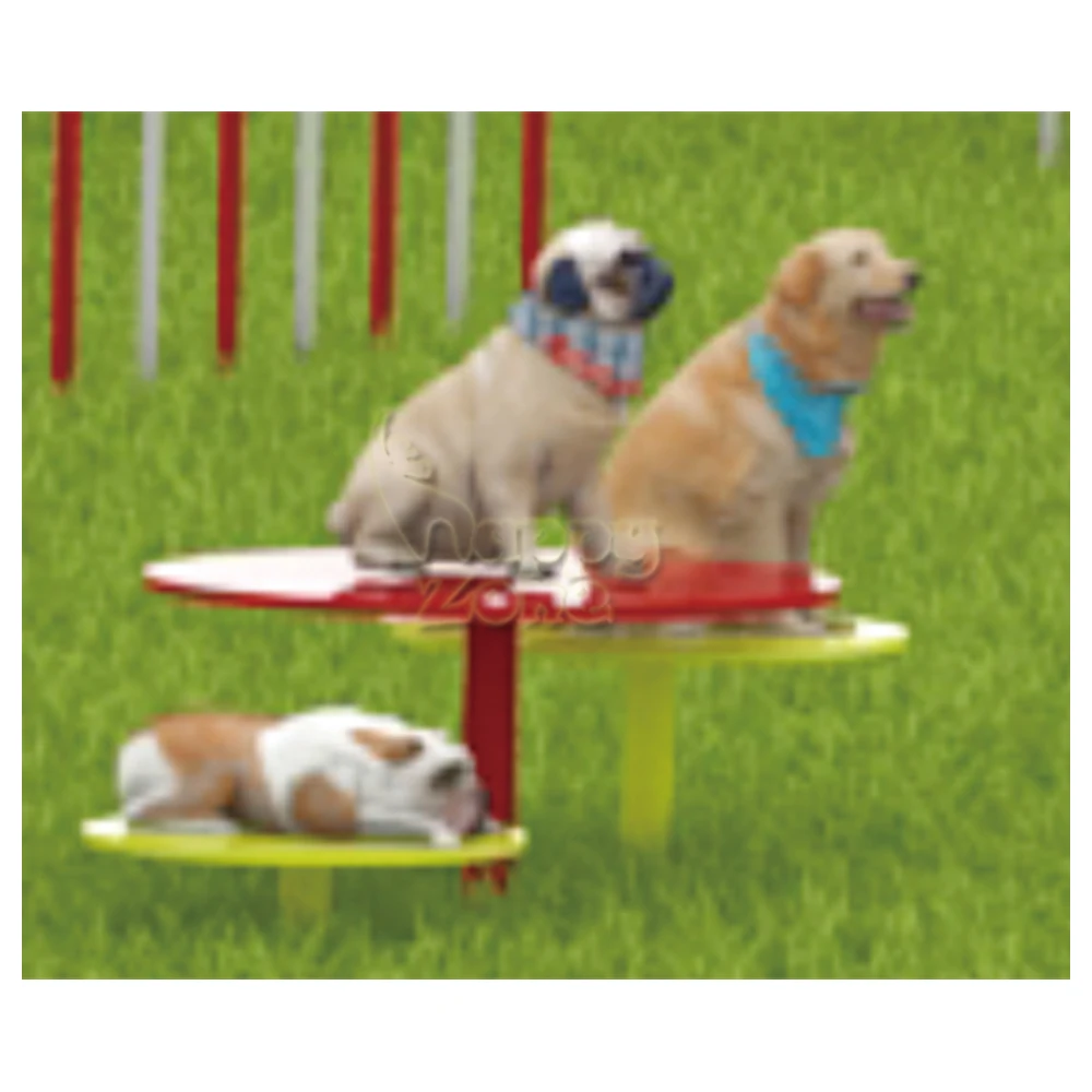 Pet Agility Training Games Course Interaktives Training Outdoor Hindernis Haustier Outdoor-Spielgeräte mit Edelstahlrahmen