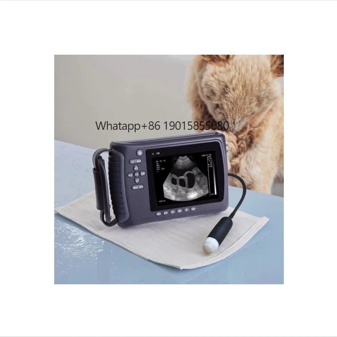 

LTVU01 China Factory Price Portable Veterinary Ultrasound Medical Machine for Pet Clinics