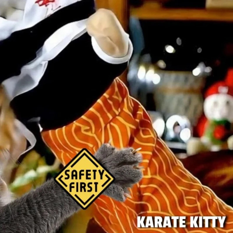 Kat Karate Kitty Marionet Boksspeelgoed Met Arm Mouw Voor Speels Huisdier Spelen Thuis Leuk Voor Kinderen Tieners Kattenliefhebbers Leuk Halloween Cadeau