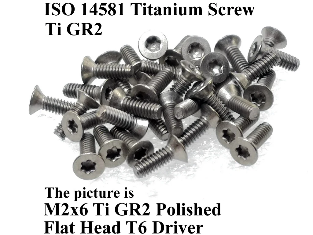 ISO 14581 M2 Titanium screws M2x3 M2x4 M2x5 M2x6 M2x8 M2x10 Flat head T6 Driver Ti GR2 20pcs  Screw