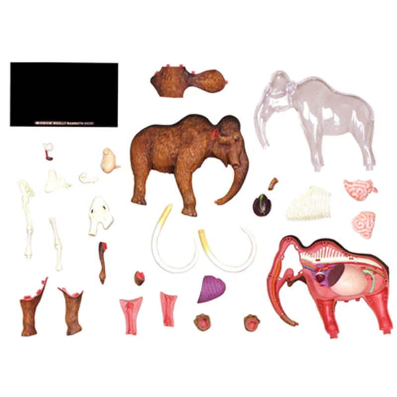 Mammoth 4d master puzzle montagem brinquedo animal biologia órgão anatômico modelo de ensino médico