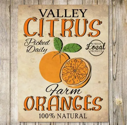 Citrus Farm Orange Sign Vintage Style Large Funfair Wall Decor Metal Plaque sign