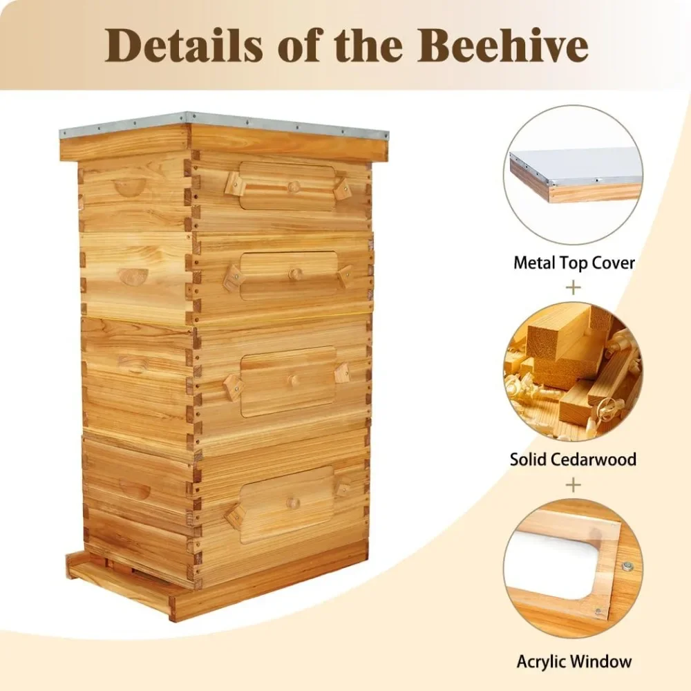 

10 Frame Langstroth Bee Hive with Windows, Beeswax Coated Frames & Waxed Foundations Included