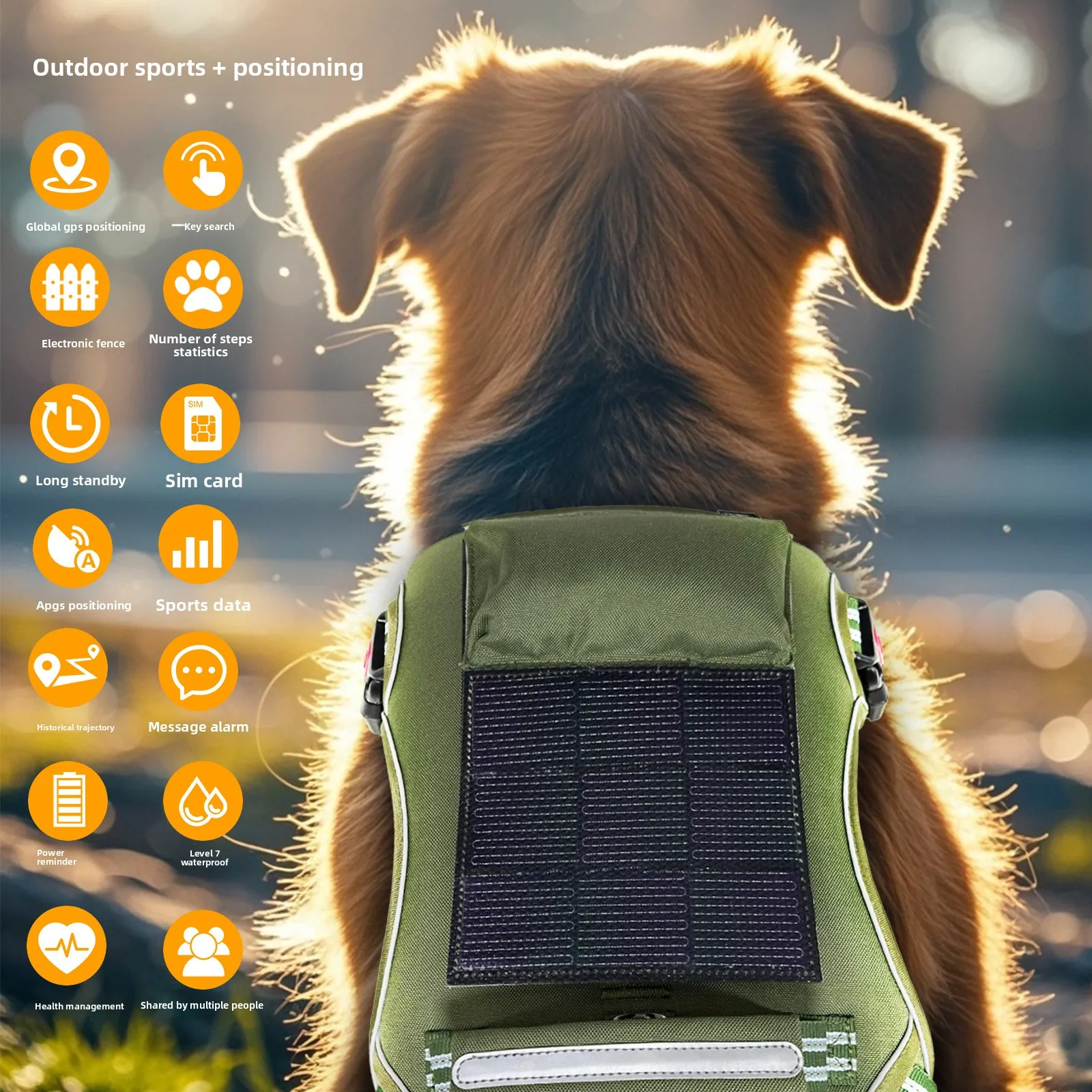 GPS Pet Tracker IP67 Waterproof Anti-Lost Device Solar Charging 4G Technology for Dog Tracking