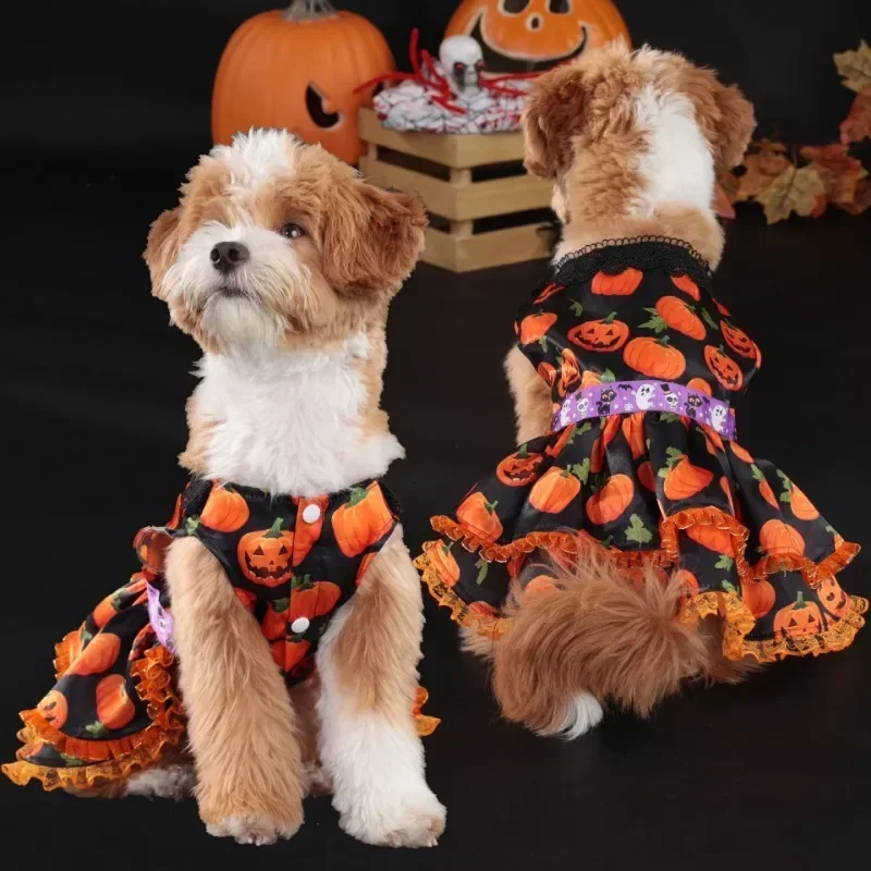 

Halloween Pet Small Dog Clothing and Dress Medium and Small Sized Dogs Wansheng Pumpkin New Year's Festival Party Big Cats Dress