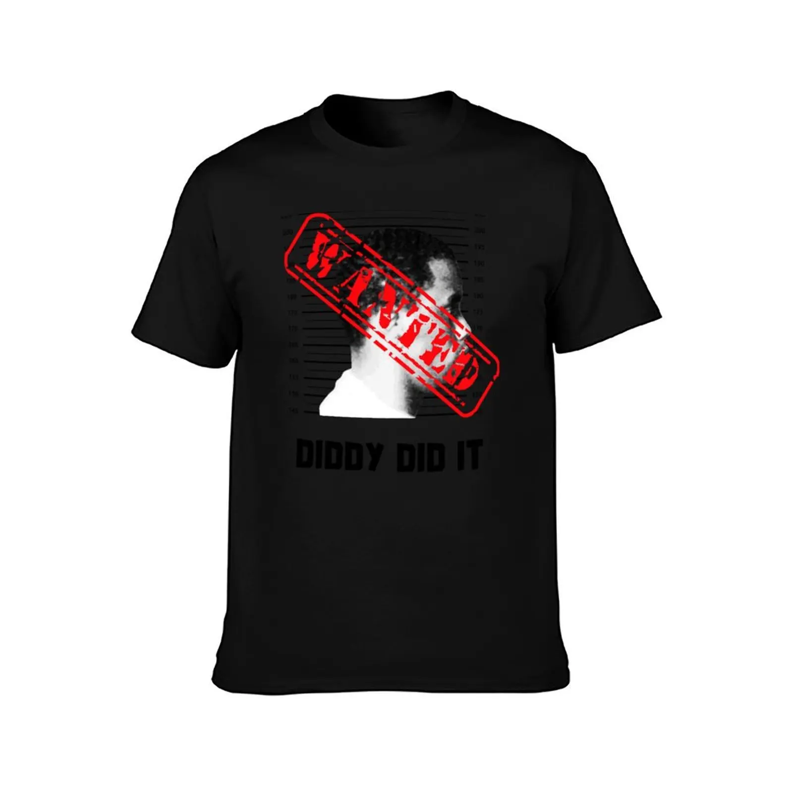 Diddy Did It For Adults Gift For Party Lovers T-Shirt Summer Casual Cotton Tee Oversized Streetwear Tops Unisex Men Women