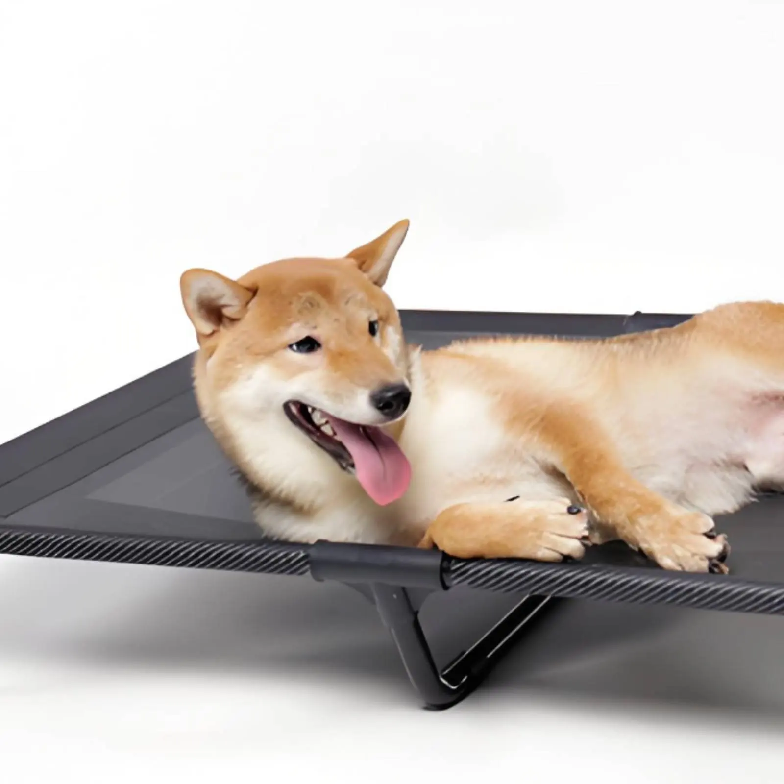 高床式犬用ベッド-頑丈なスチールフレーム-折りたたみ式犬用ベッド-滑り止め付き脚-折りたたみ式ペットベッド-組み立て不要-犬用