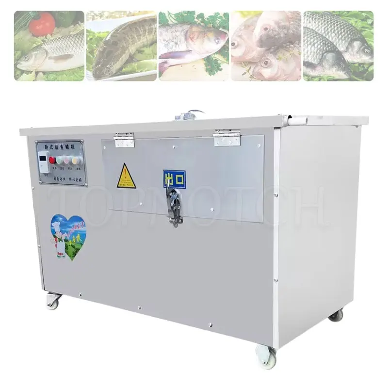 

Factory Fish Scale Removed Machine Removed Fish Scraped Machine Canteen Electrical Appliances