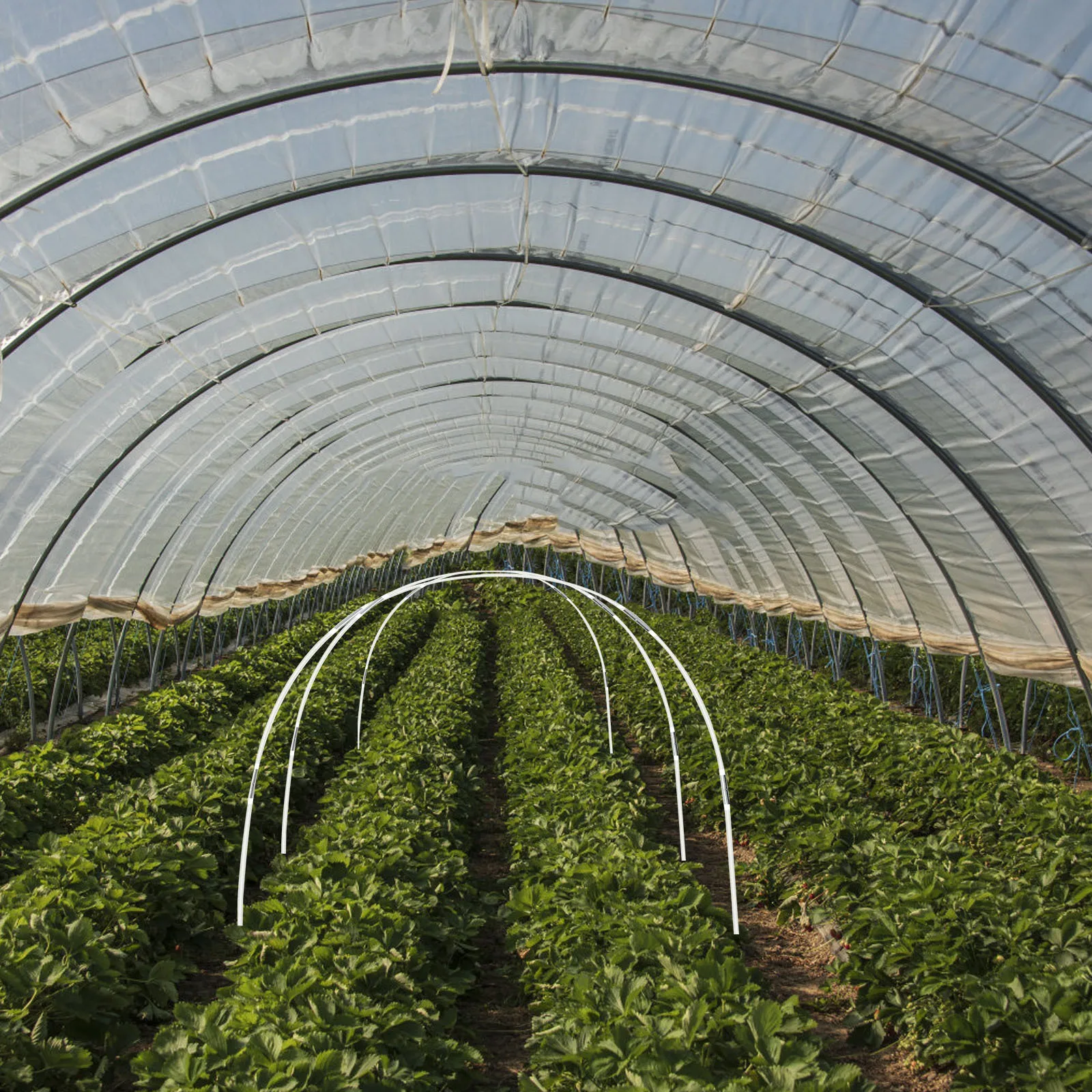 식물 지지대 세트, 내구성 있는 온실용 터널형 식물 보호대, 서리, 태양, 새로부터 식물을 보호하는 정원 아치 프레임