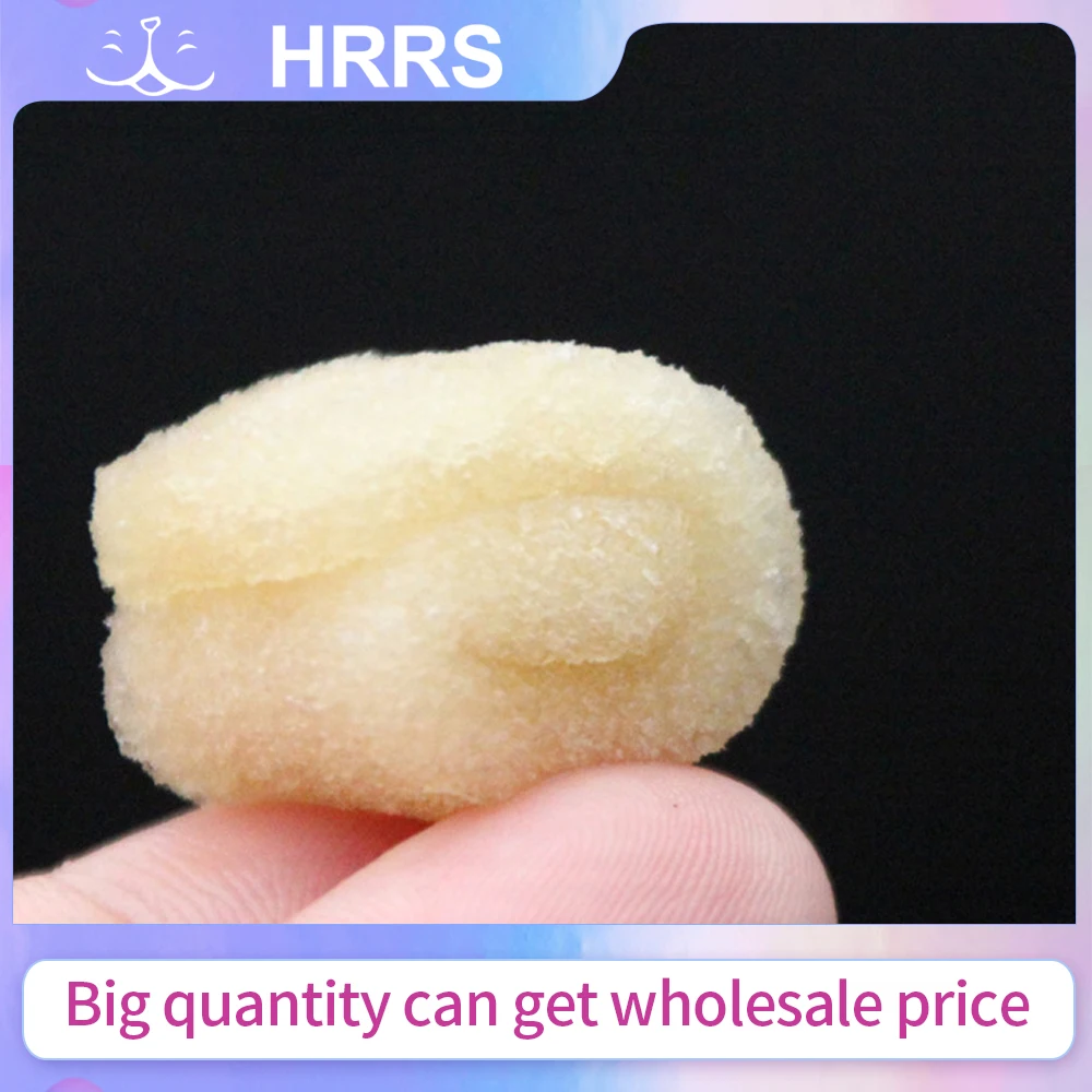 عبوة واحدة من إسفنجة الجيلاتين المرقئة للأسنان الاحترافية - شاش معقم لجراحة الفم واستخلاص الأسنان #2