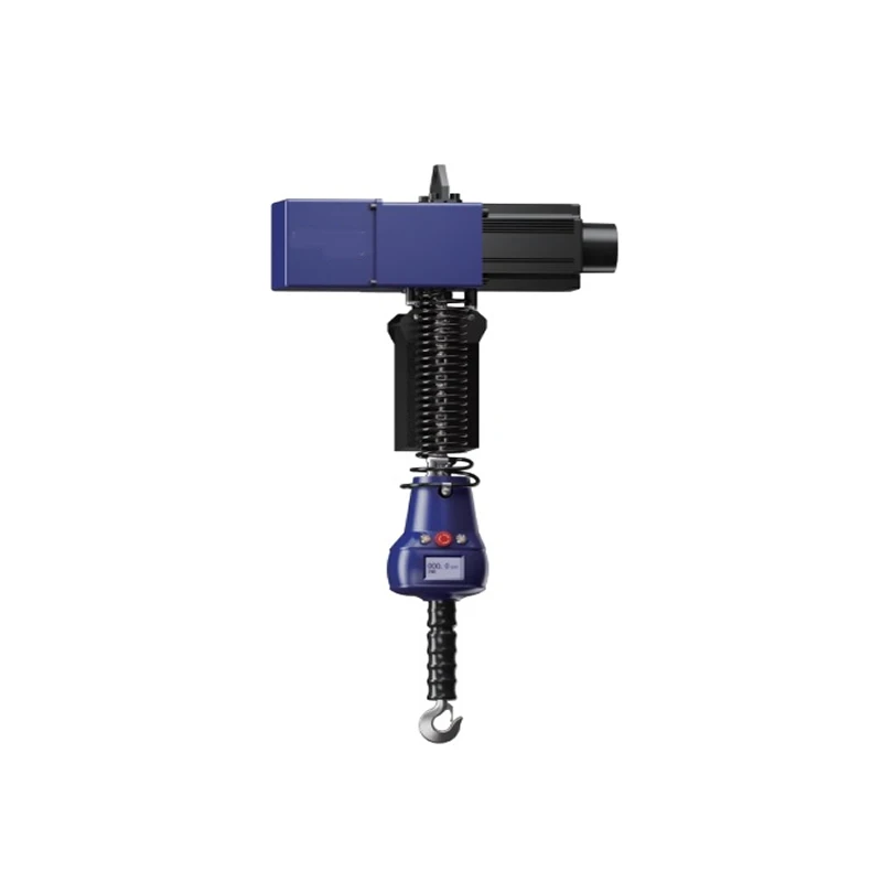 Pneumatic Lift Assist Controls Intelligent Wire Rope Electric Hoist 50 25 Provided Servo Ordinary Product 2.5 44 0.8 100-600kg