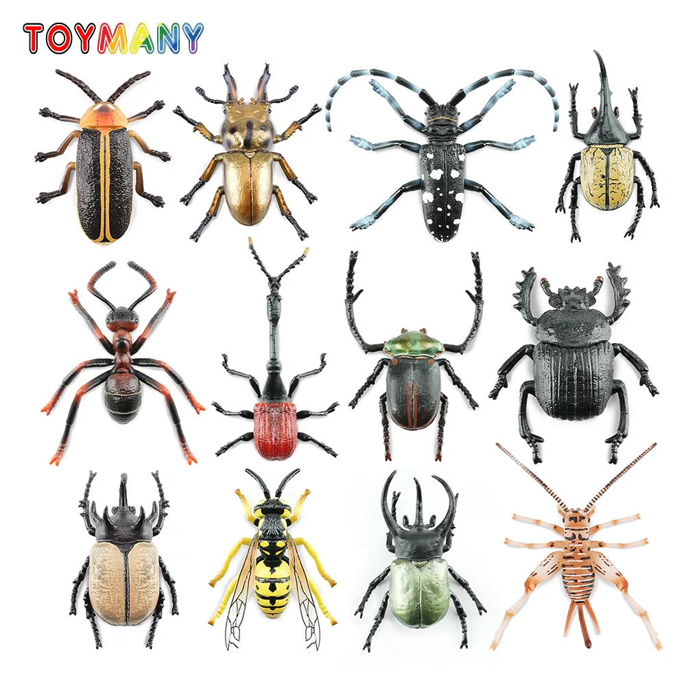 Toymany محاكاة الحشرات والخنفساء نماذج للحيوانات لعبة شخصيات صغيرة دمى عمل التماثيل 12 قطعة مجموعة لعب الأطفال هدية كعكة ديكور