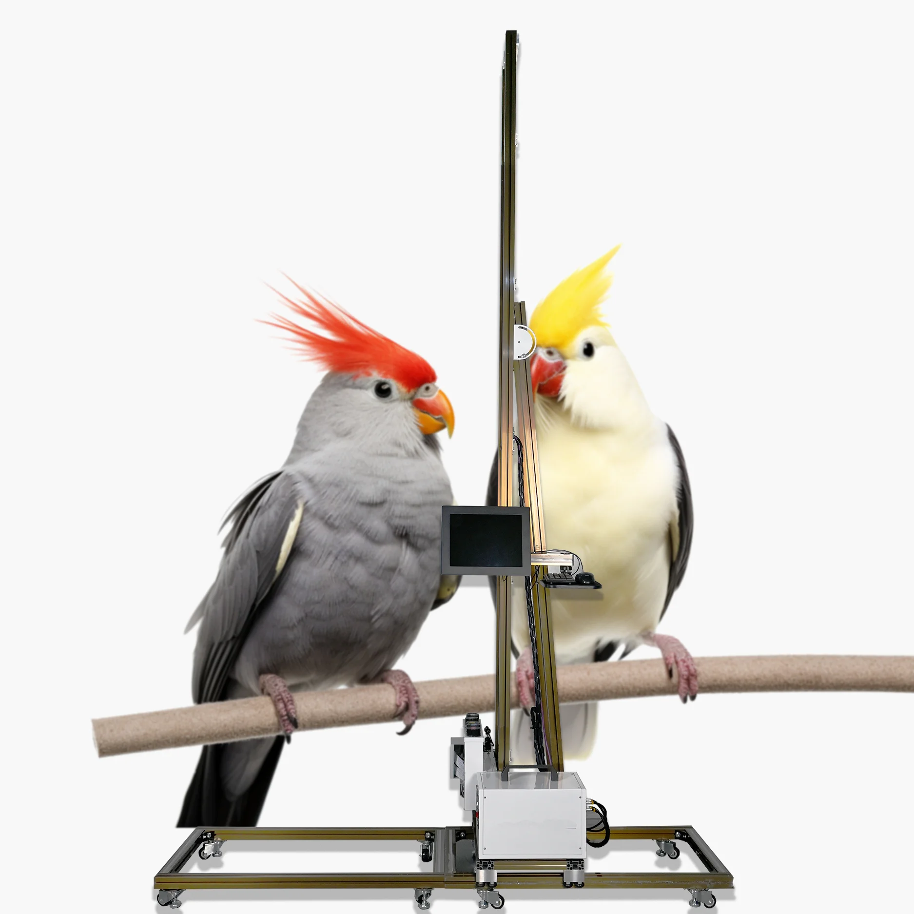 친환경 벽면 프린팅 기계 3D 수직 프린터/3D 배경 디지털 바니쉬 잉크젯 UV 프린터 (휴대폰 케이스용)