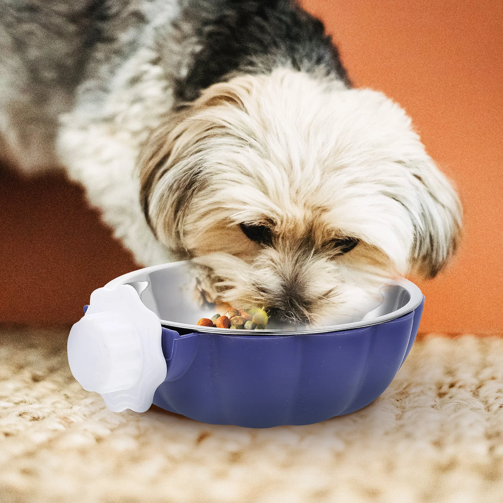 

Stainless Steel Dog Bowl Durable Pet Feeder Easy Clean Household Kitten Food Bowls Drinking Fountain Supply Small Dogs