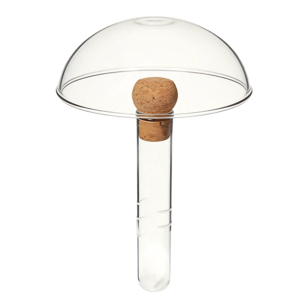 For Loose Leaf Tea Infuser Made of Transparent Micro-Perforated Glass Test Tube Factor for Efficient Tea Separation