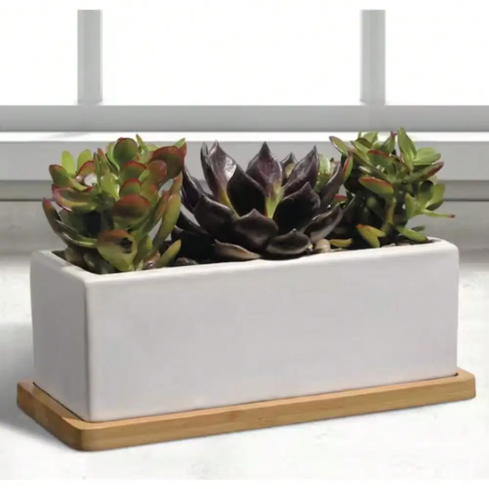 

Plant Pots. 9 in. Nipp Medium Ceramic Rectangle Planter. Great for refreshing the look of a patio, sunroom or office space