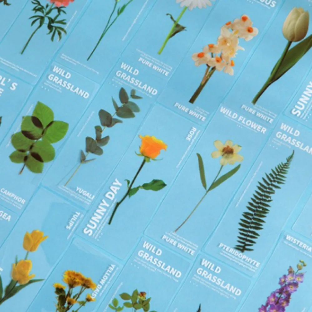 

5Pcs/Set Nature Plants Bookmarks PET Translucent Flower Specimen Bookmarks Leaf Vein Book Note Marker Bookmarks Card Book Marker