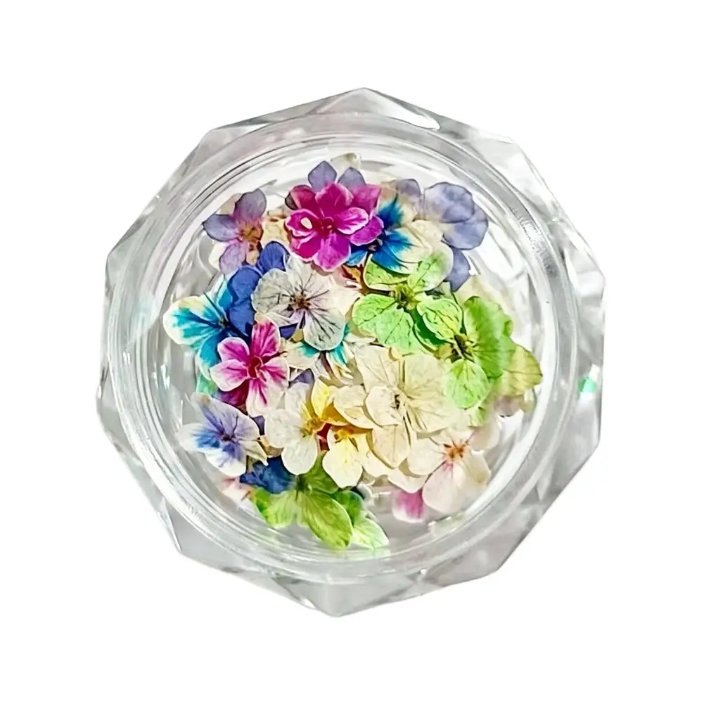Getrocknete Blumenmaterialien für Nägel, romantische Monet-Garten-Farbpalette, lebendige Accessoires, Wildblumen-Nagelkunst-Dekorationen, Werkzeuge