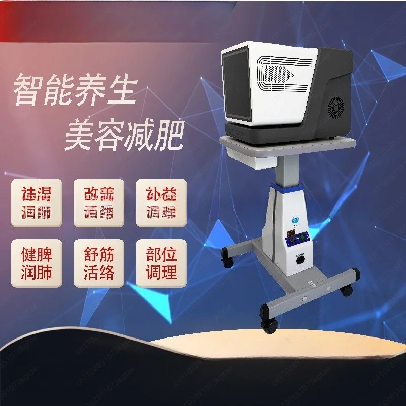Terahertz Magnetic Light Wave Therapy Device, Cellular Heat Therapy Machine for Wellness & Physical Therapy