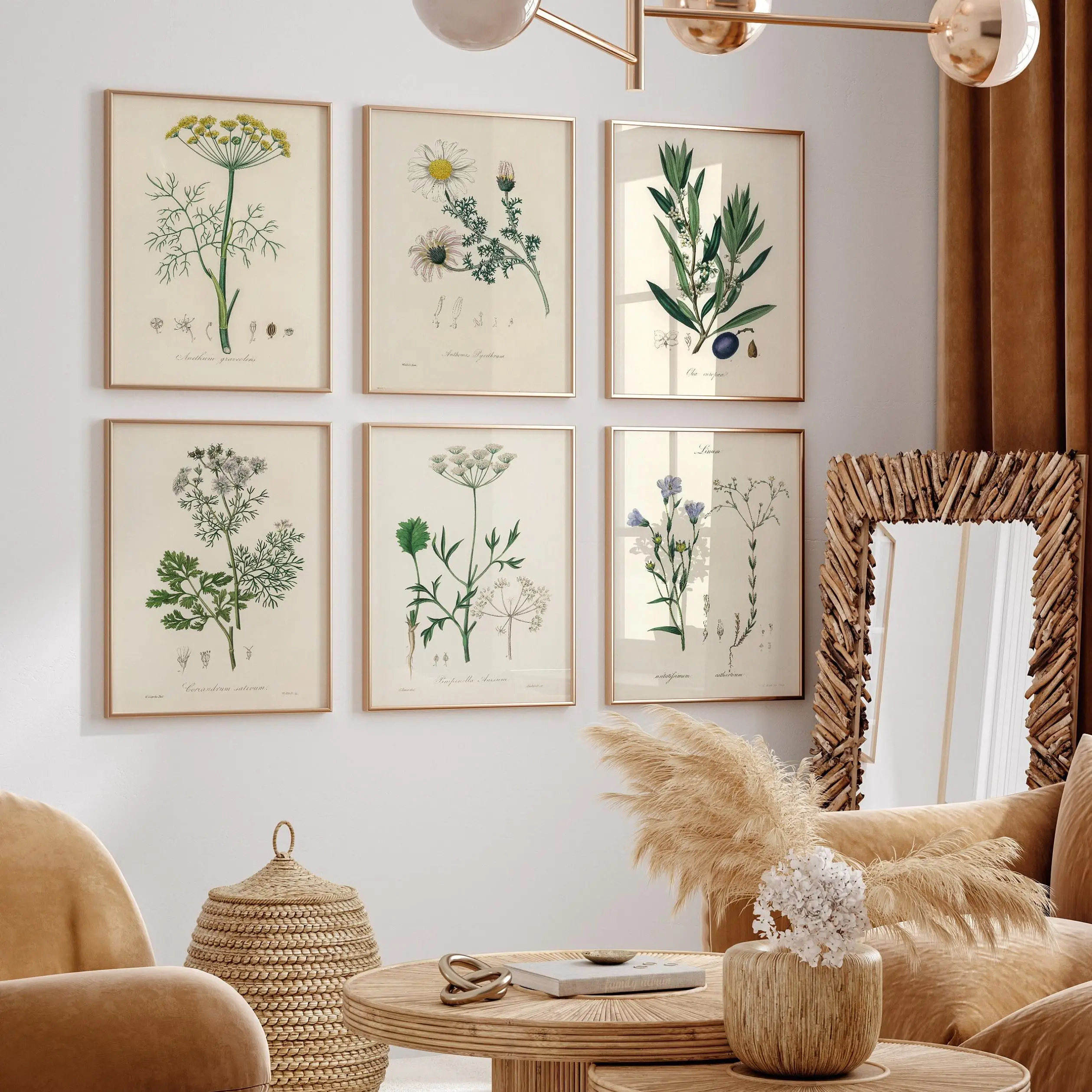 Vintage Botanical Fern Modern Flower Daisy Green Leaf Posters and Prints Canvas Printing Wall Art Picture for Living Room Decor