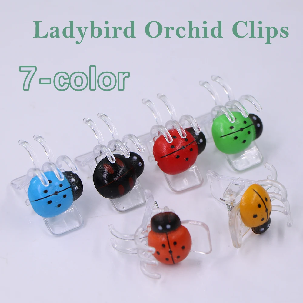 20/50/100pcs Ladybird Colorful Flower Fixing Support 5-Claw Plant Orchid Clips Clamp Climbing Vine Stem Clasp Tied Bundle Branch