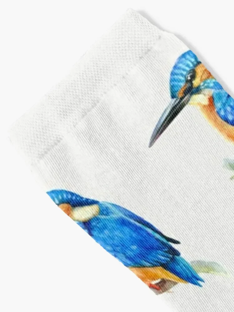 Kingfisher (watercolor) Socks gym sports and leisure gift Boy Socks Women's