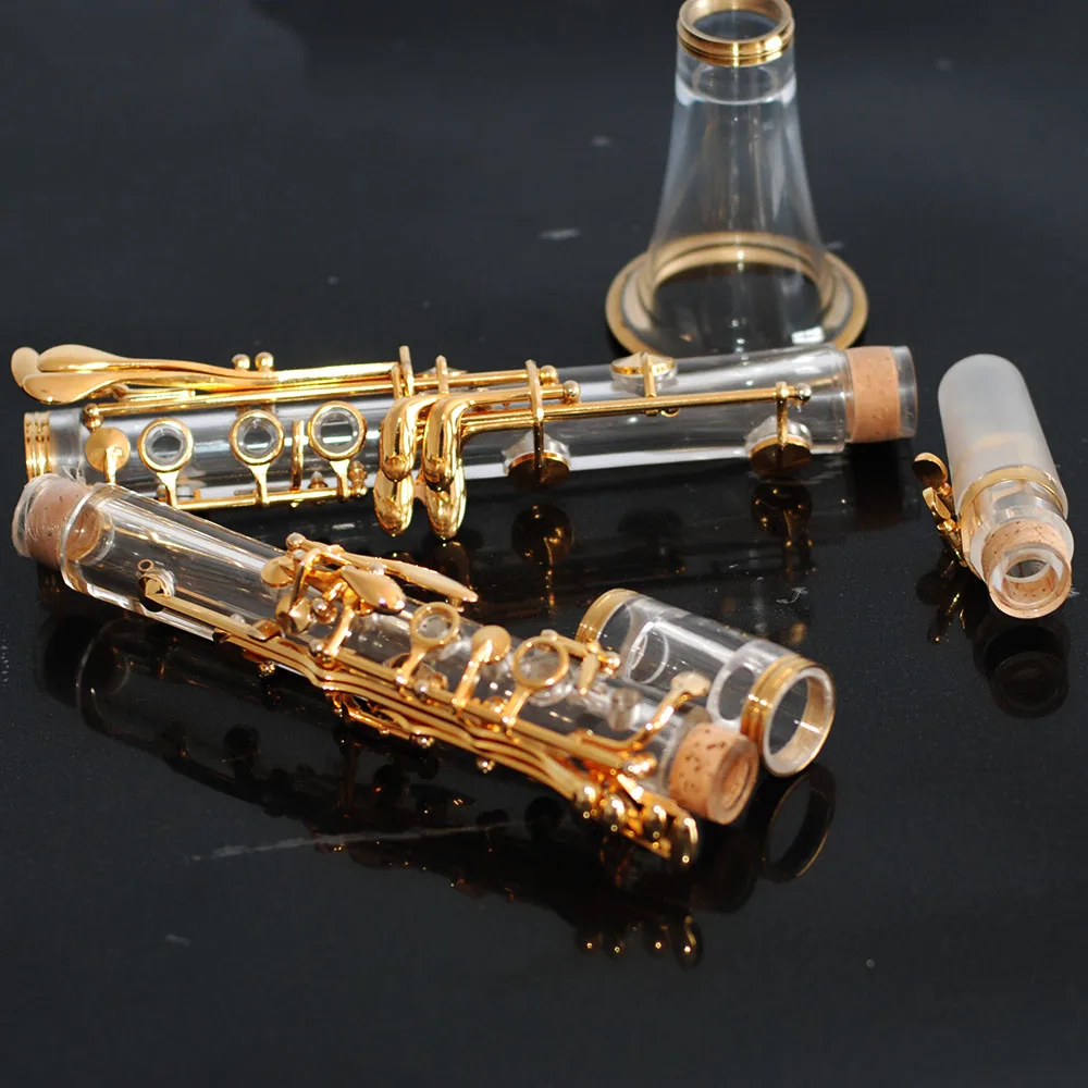 17‑Key Bb Clarinet Gold Plated Keys Plexiglass Body Woodwind Instrument With Canvas Carry Case