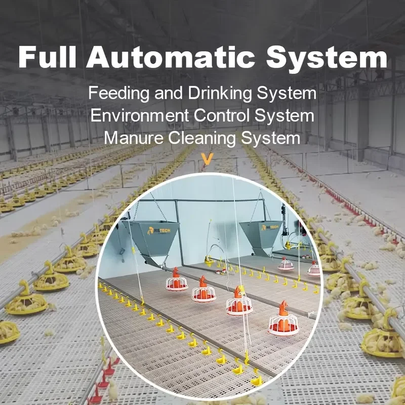 Automatic Chicken Feeder Drinker for Broilers Poultry Farm Floor Raising Equipment