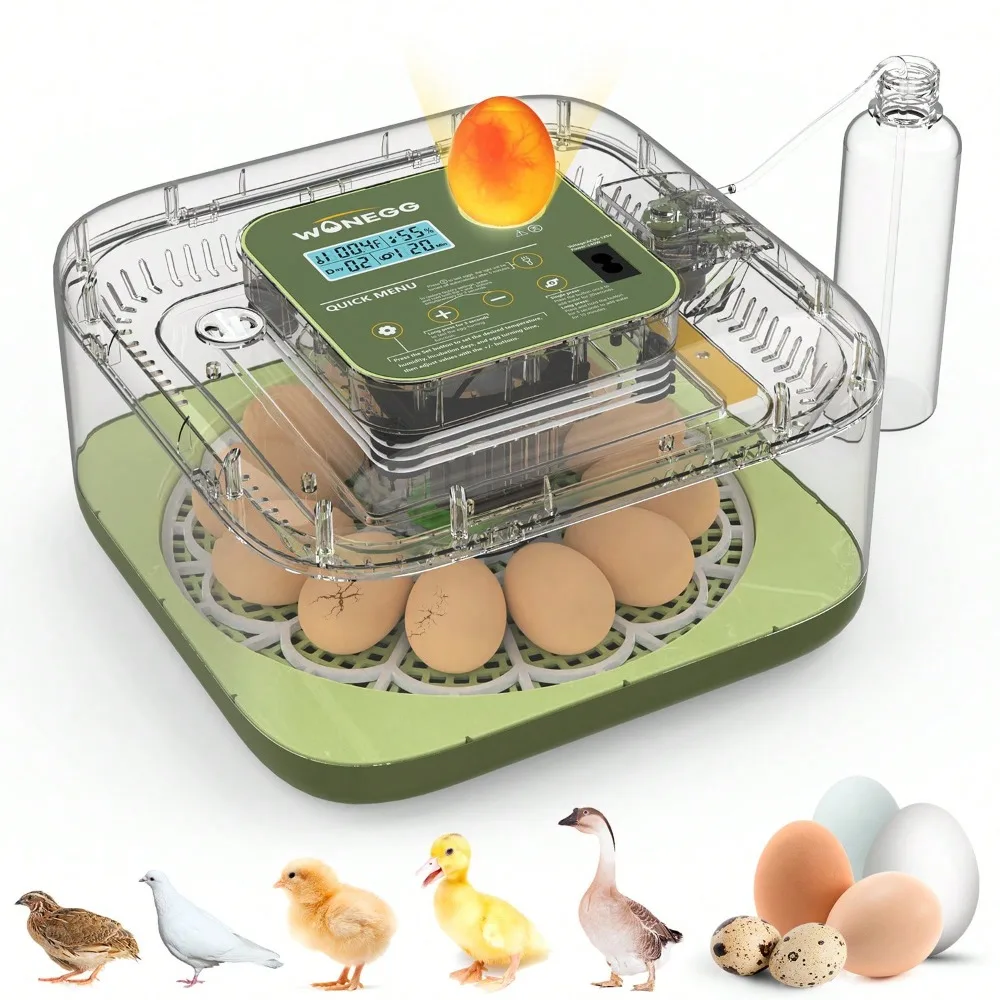 

12 Eggs Incubator For Hatching Eggs, Temp And Humidity Control, 360°View Auto Water Adding, Egg Candler Display Incubators