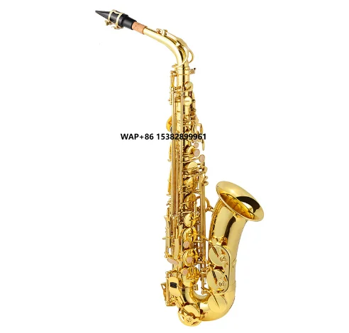 

Professional Woodwind InstrumentStudent High Quality Saxophone ABC1102G
