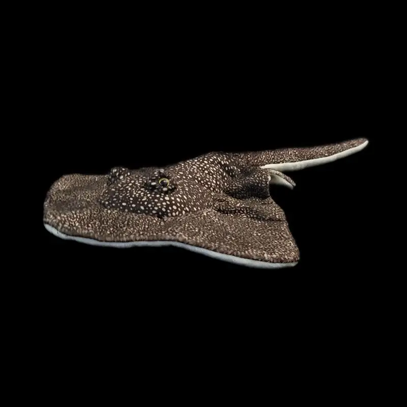 

Моделирование морского животного Рыба Лаоцзы Кукла желчного пузыря Ската Плюшевая рыба-босс Игрушка желчного пузыря Реалистичные животные DKawaii Игрушки Подарки