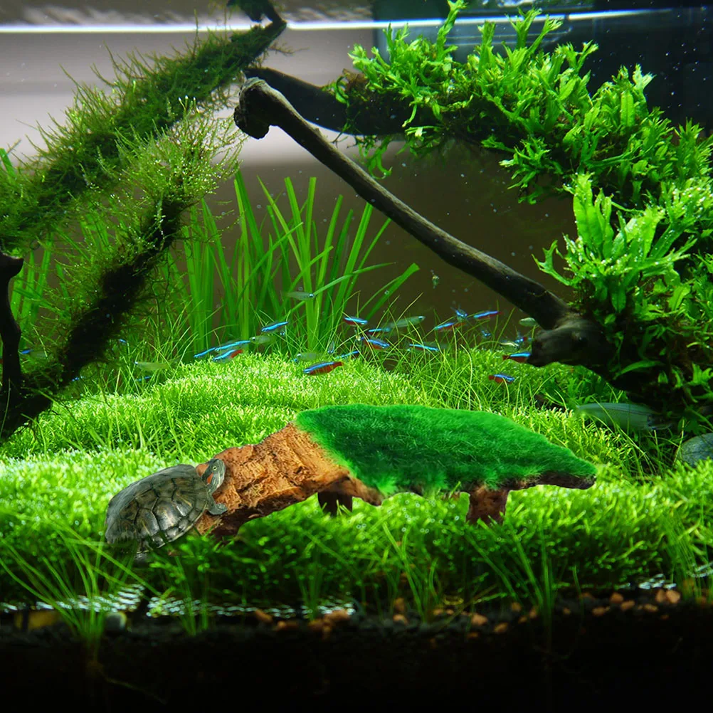 

Resin Platform Wear-Resistant Basking Platform For Fish Tank Decorative Dock Accessory Household Turtle Ramp Resin Turtle Ramp