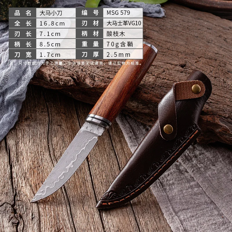 XUANTENG Multi purpose Small Knife with Leather Sheath Damascus Steel Beef and Lamb Knife Outdoor Small Knife Fruit