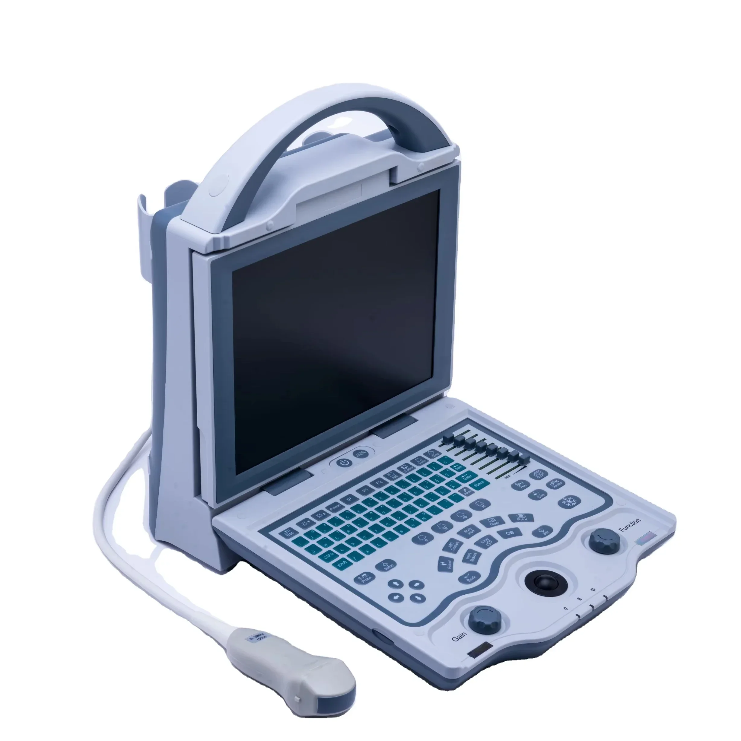 Laptop Portable Veterinary Ultrasound with CE Animal Pet Pig Veterinary Ultrasound Equipment Machine for Veterinary Clinic Use