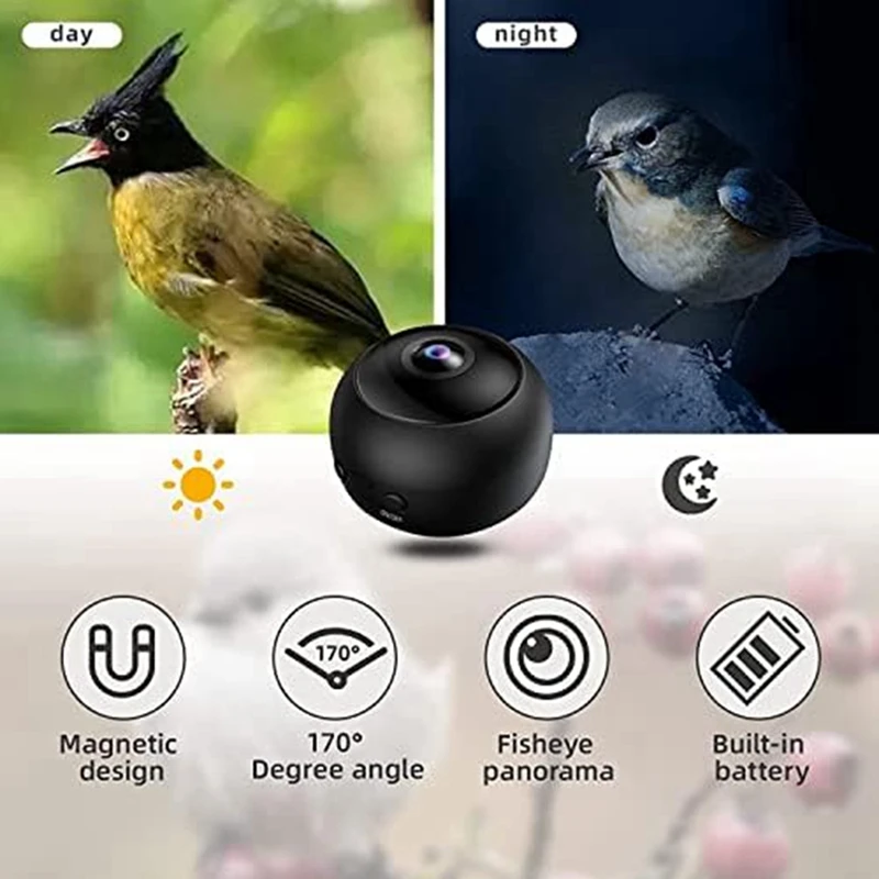 Bird Feeder Smart Bird Feeder With Bird Watching Camera, Mobile Phone Remote Connection For Bird Watching