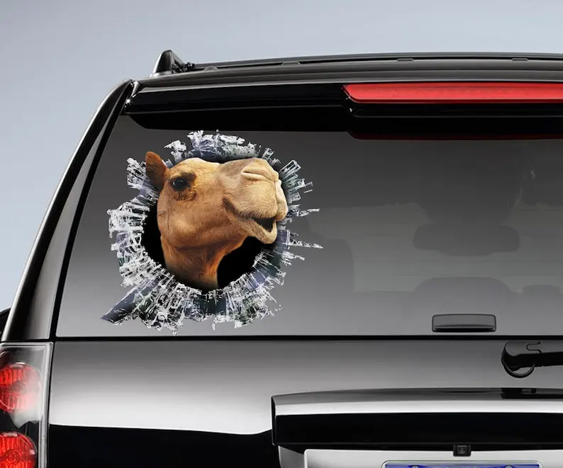 Camel window decal, camel car sticker, camel car decal, funny decal