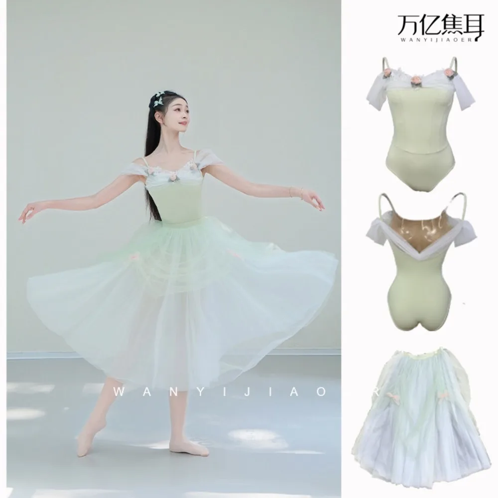 Customized The Wizard of Oz Forest Fairy Tender Blue Beautiful One Shoulder Rose Long Dress Adult Ballet Chinese Dance Dress